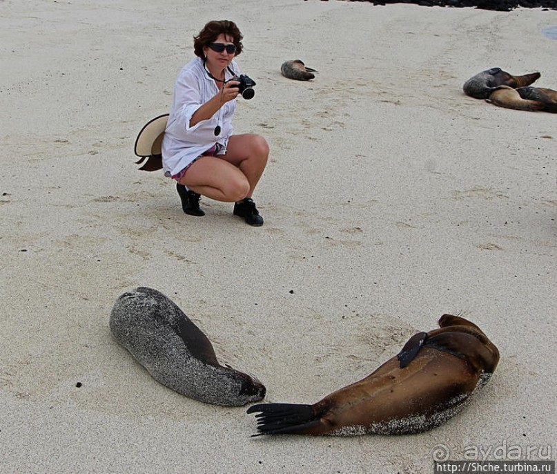 Экскурсия на остров Санта Фе — что хорошо, что плохо
