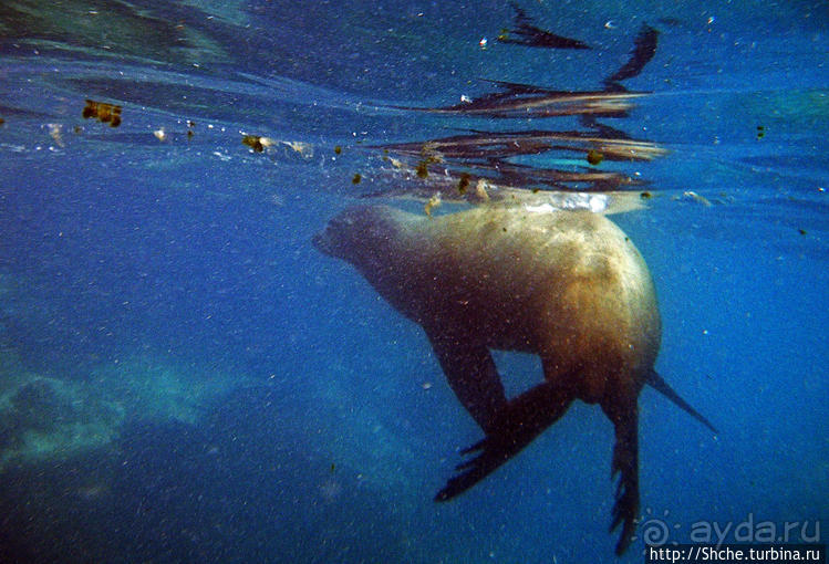 Экскурсия на остров Санта Фе — что хорошо, что плохо