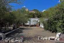 Благодатный пит-стоп в пальмовом оазисе джибутийской пустыни