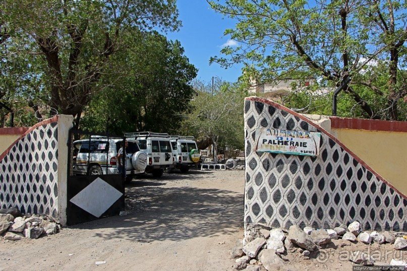Благодатный пит-стоп в пальмовом оазисе джибутийской пустыни
