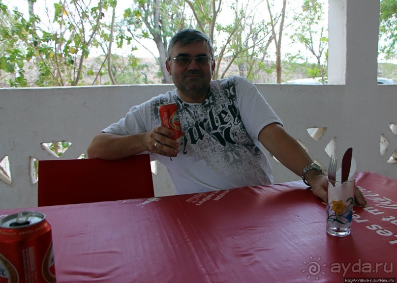 Благодатный пит-стоп в пальмовом оазисе джибутийской пустыни