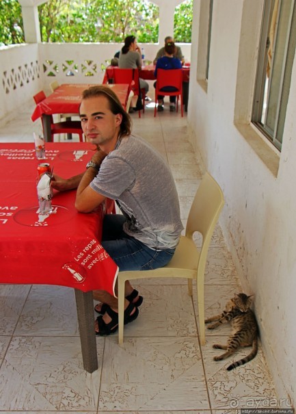 Благодатный пит-стоп в пальмовом оазисе джибутийской пустыни