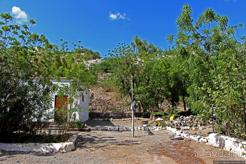 Благодатный пит-стоп в пальмовом оазисе джибутийской пустыни