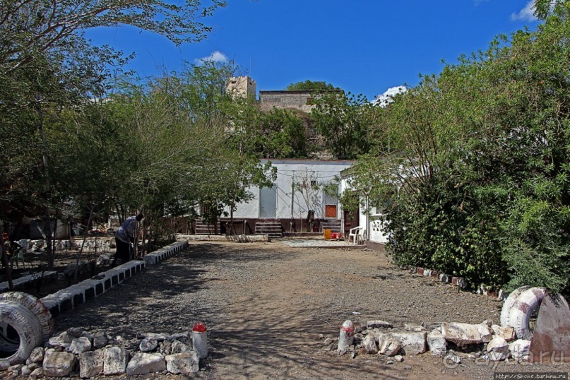 Благодатный пит-стоп в пальмовом оазисе джибутийской пустыни