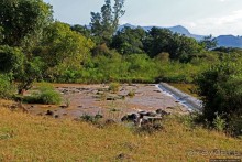 фото Бахр-Дар