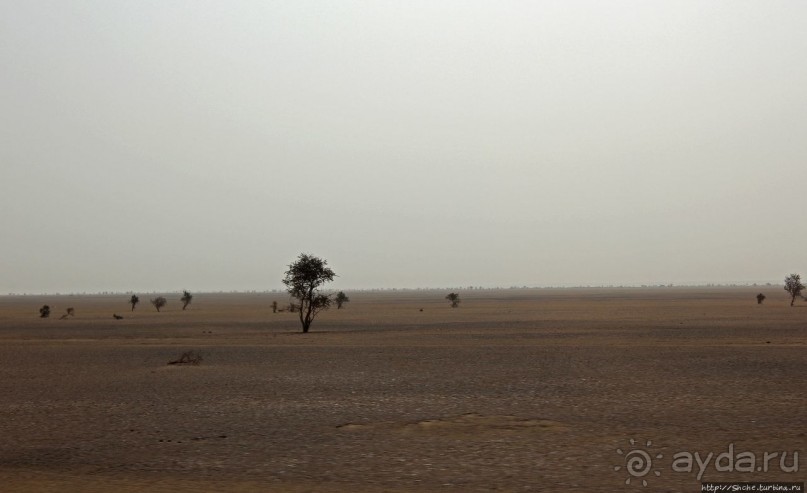 Акжужт — это лишь остановка в пути