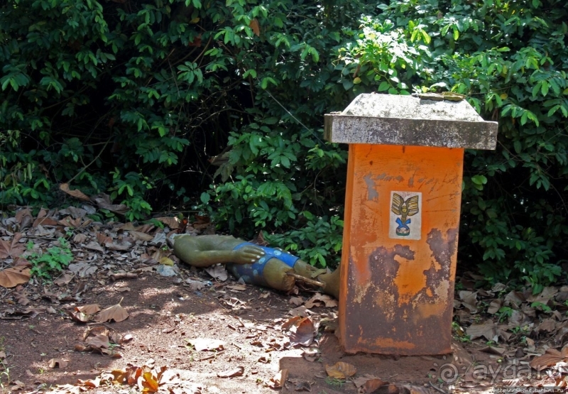 Священный лес последователей религии вуду