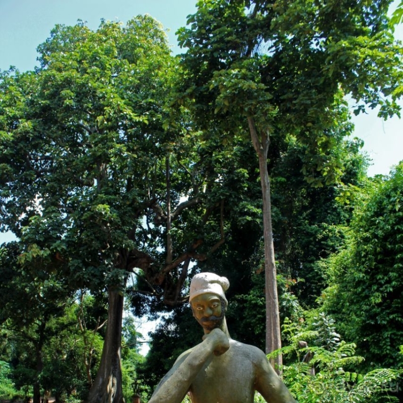 Священный лес последователей религии вуду