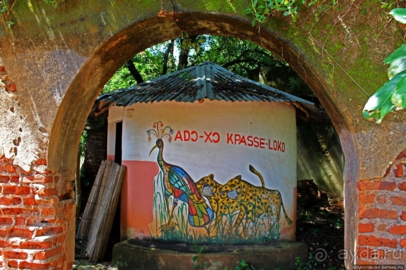 Священный лес последователей религии вуду