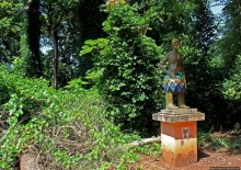 Священный лес последователей религии вуду