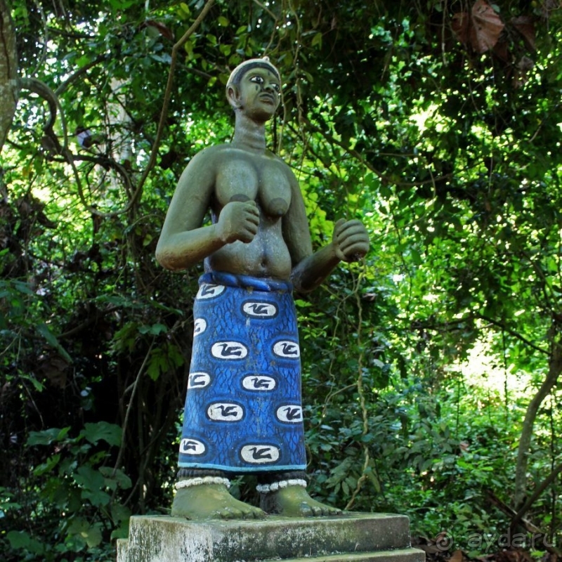 Священный лес последователей религии вуду