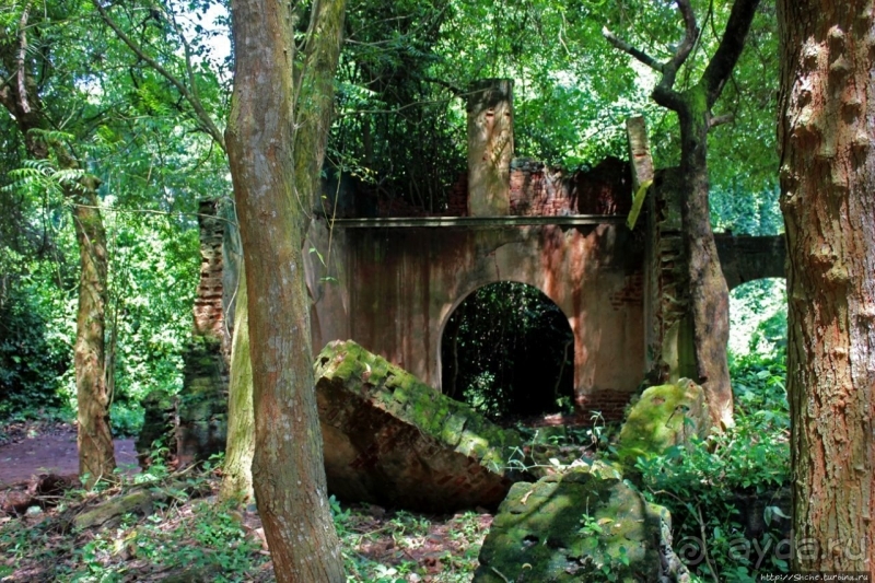 Священный лес последователей религии вуду