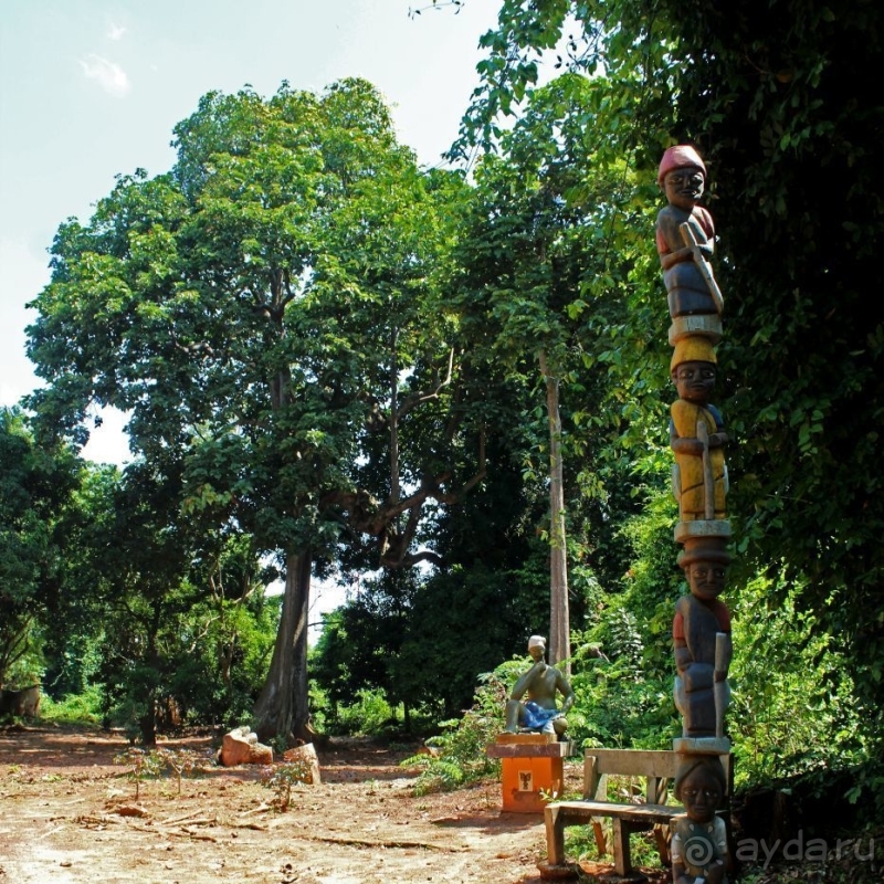 Священный лес последователей религии вуду