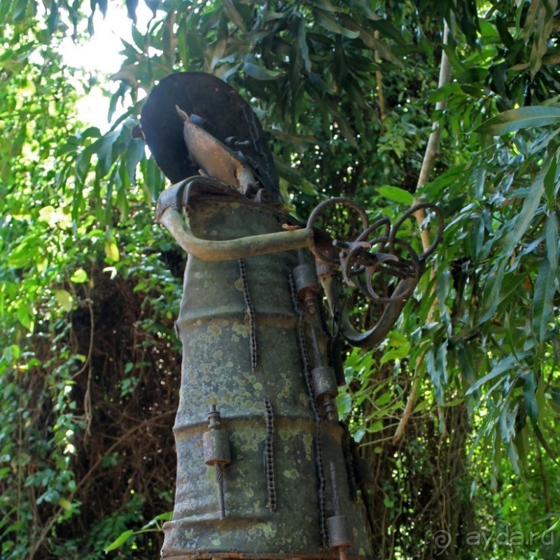 Священный лес последователей религии вуду