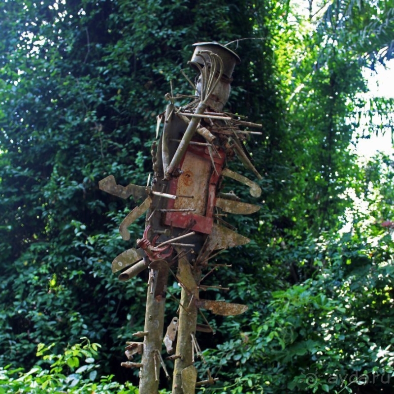 Священный лес последователей религии вуду