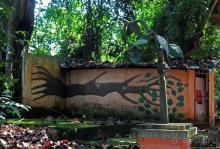 Священный лес последователей религии вуду