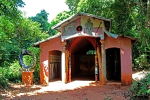 Священный лес последователей религии вуду