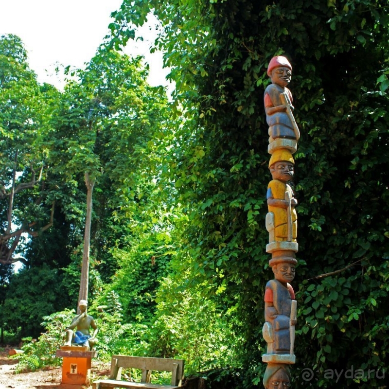 Священный лес последователей религии вуду