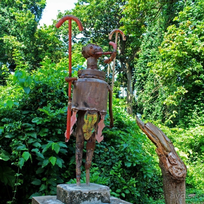 Священный лес последователей религии вуду