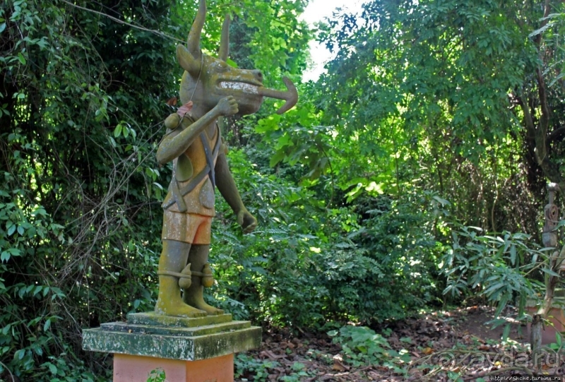 Священный лес последователей религии вуду