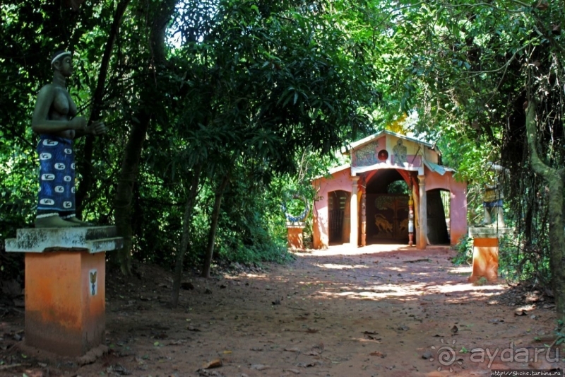 Священный лес последователей религии вуду