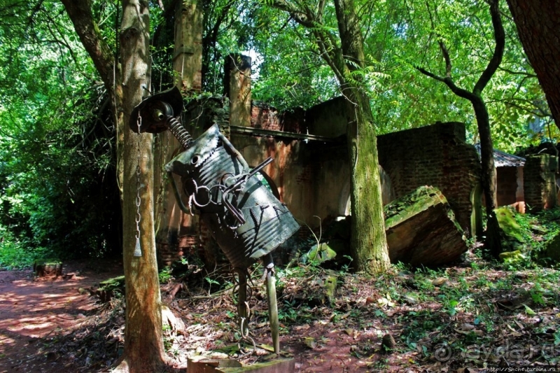 Священный лес последователей религии вуду