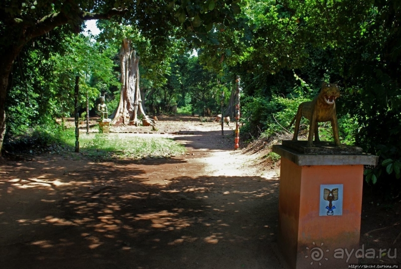 Священный лес последователей религии вуду