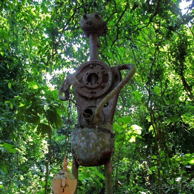 Священный лес последователей религии вуду