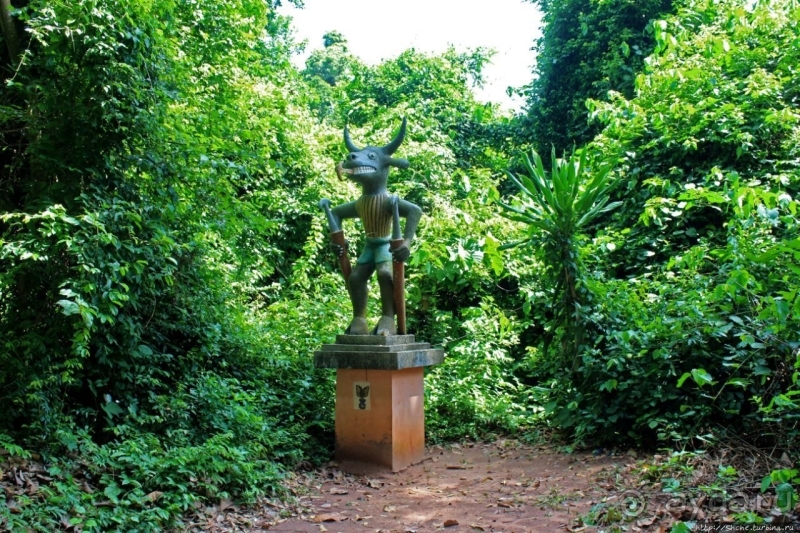 Священный лес последователей религии вуду