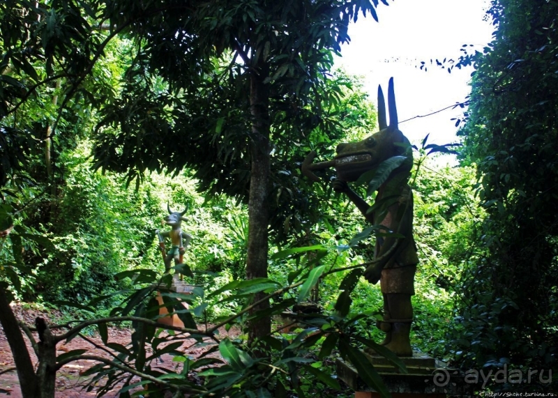 Священный лес последователей религии вуду