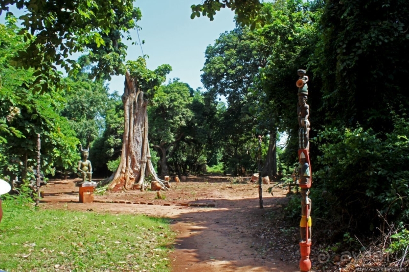 Священный лес последователей религии вуду