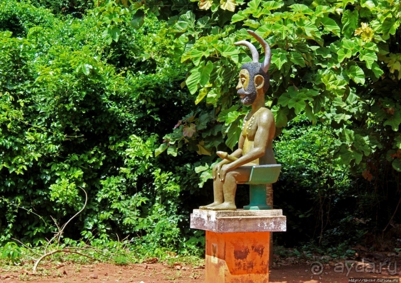 Священный лес последователей религии вуду