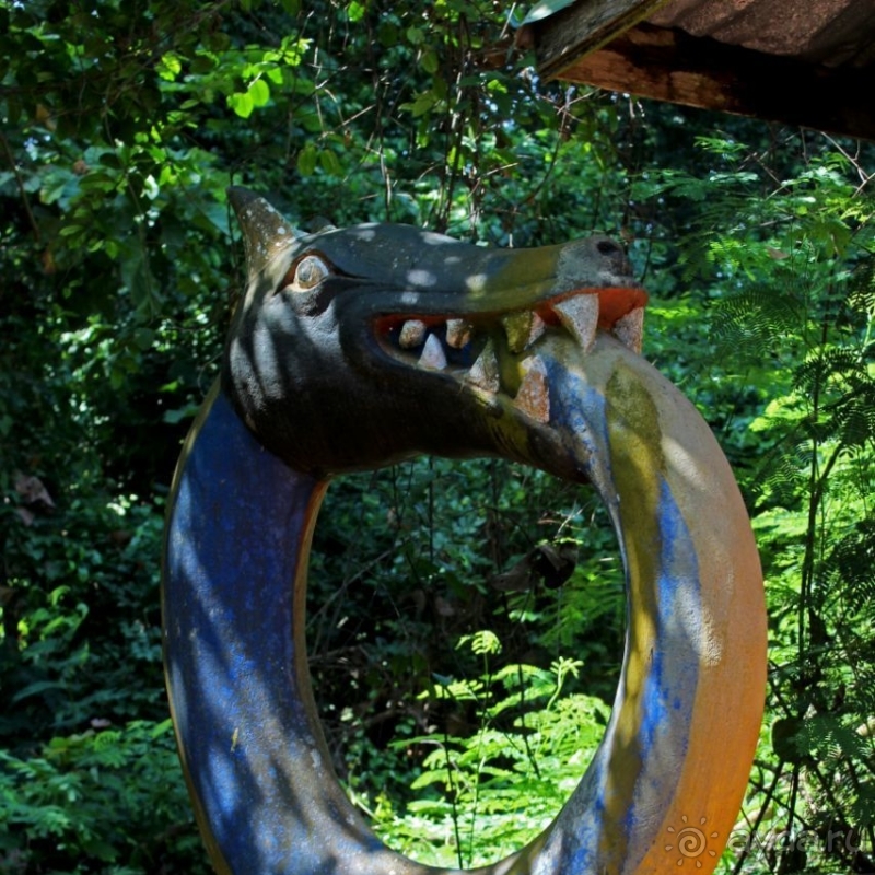 Священный лес последователей религии вуду