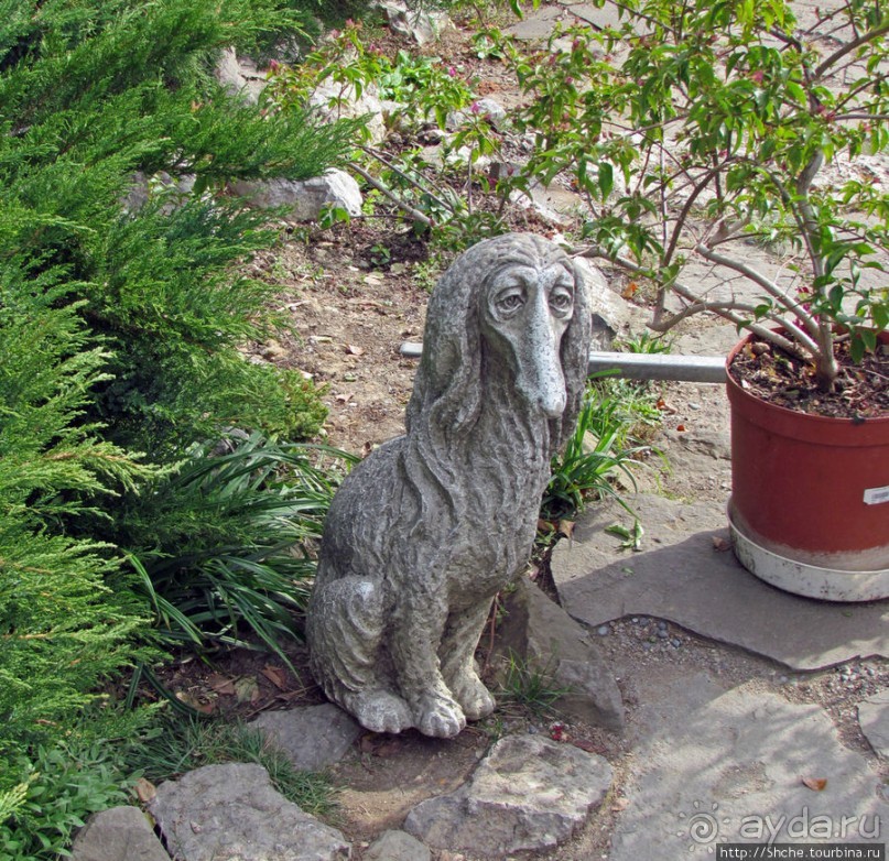 Оранжерея кактусов. Осеннее цветение на открытой площадке.