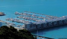 Гора Виктория — первый взгляд на Веллингтон и залив Фицрой