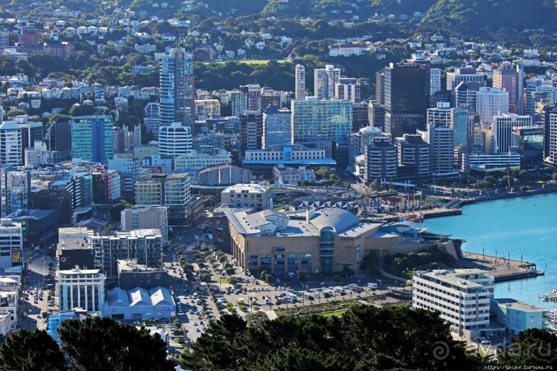 Гора Виктория — первый взгляд на Веллингтон и залив Фицрой