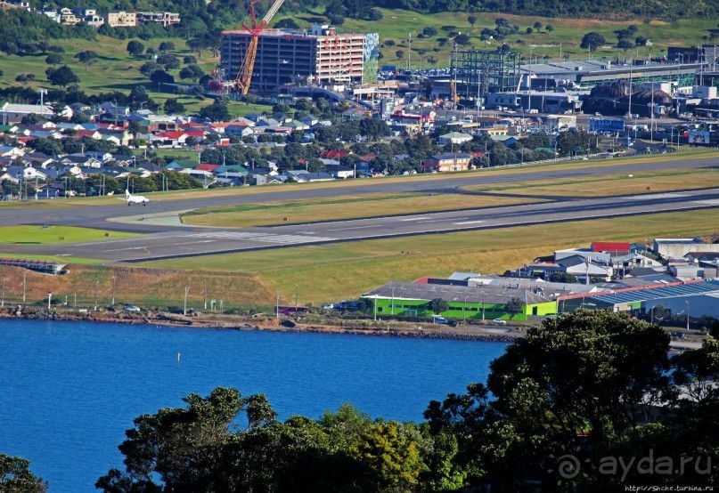 Гора Виктория — первый взгляд на Веллингтон и залив Фицрой