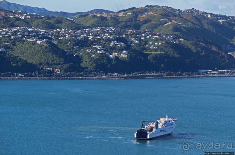 Гора Виктория — первый взгляд на Веллингтон и залив Фицрой