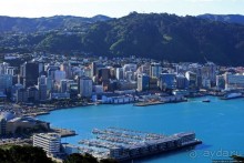 Гора Виктория — первый взгляд на Веллингтон и залив Фицрой