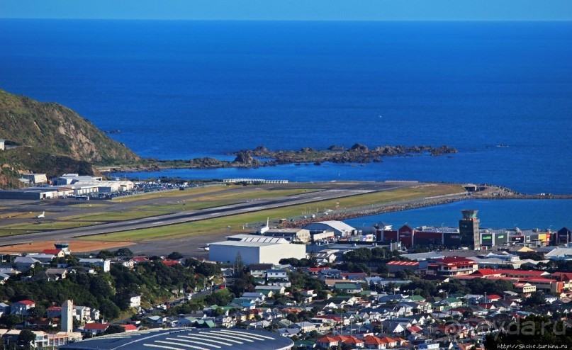 Гора Виктория — первый взгляд на Веллингтон и залив Фицрой