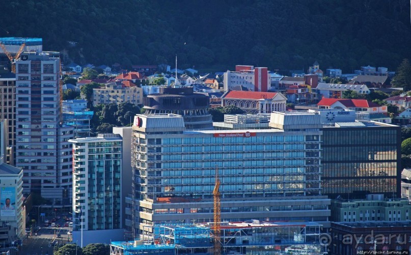 Гора Виктория — первый взгляд на Веллингтон и залив Фицрой