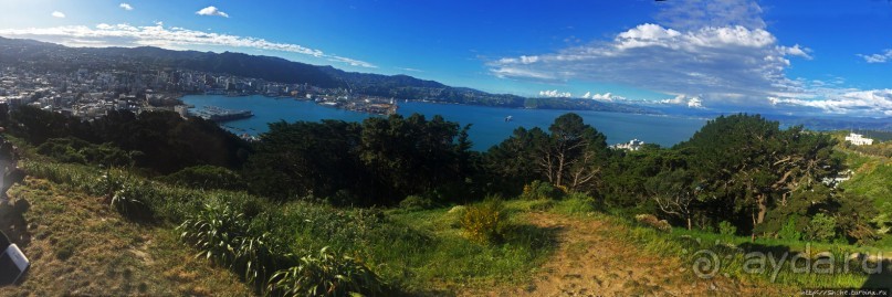 Гора Виктория — первый взгляд на Веллингтон и залив Фицрой