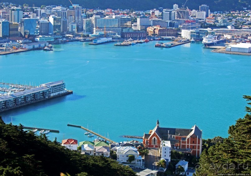 Гора Виктория — первый взгляд на Веллингтон и залив Фицрой