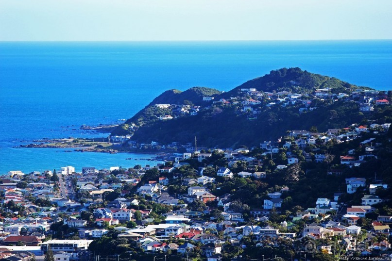 Гора Виктория — первый взгляд на Веллингтон и залив Фицрой
