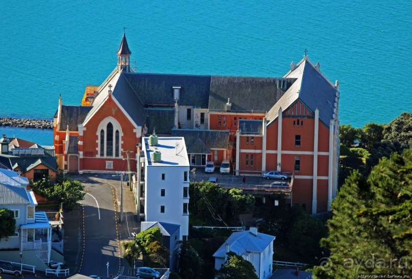 Гора Виктория — первый взгляд на Веллингтон и залив Фицрой