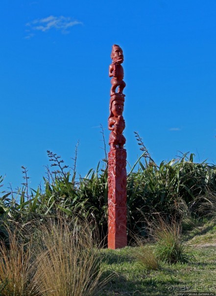 Гора Виктория — первый взгляд на Веллингтон и залив Фицрой