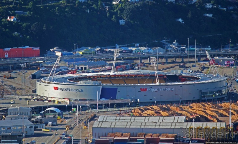 Гора Виктория — первый взгляд на Веллингтон и залив Фицрой