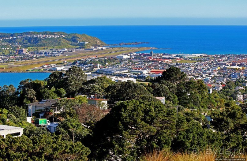 Гора Виктория — первый взгляд на Веллингтон и залив Фицрой