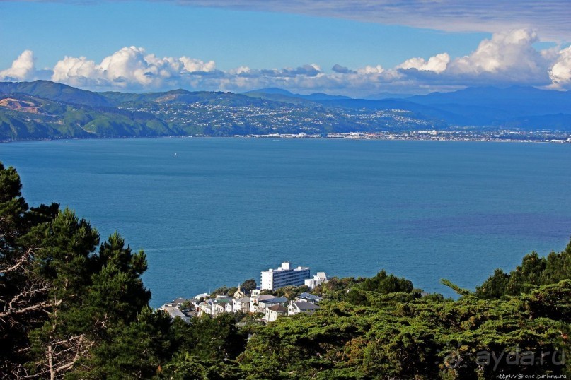 Гора Виктория — первый взгляд на Веллингтон и залив Фицрой