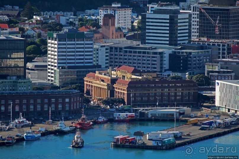 Гора Виктория — первый взгляд на Веллингтон и залив Фицрой